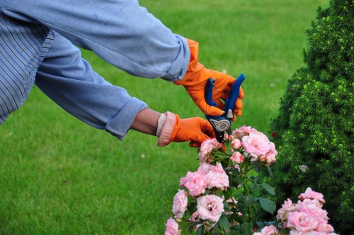 Garden maintenance crew clearing debris and sorting green waste