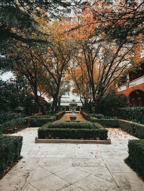 A neatly arranged formal garden at an outdoor courtyard features a central stone urn atop a low pedestal, surrounded by symmetrical, manicured boxwood hedges. The paved stone pathway leading to the ur