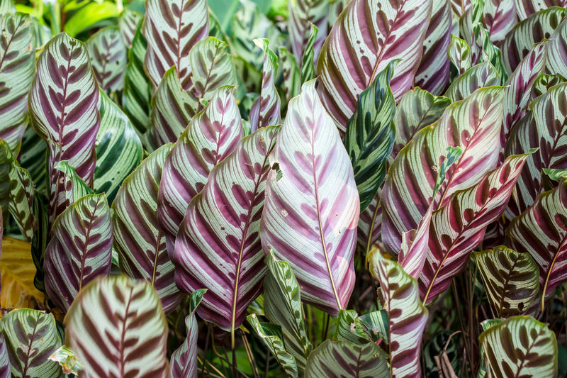 Escape Into Nature With Tall-Potted Plants That Offer Lush Seclusion Outdoors