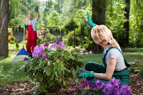 Beautiful landscaped garden by Gardener Victoria