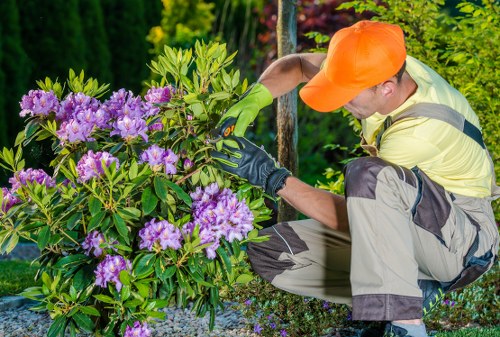 Advanced landscaping tools used by Gardener Victoria
